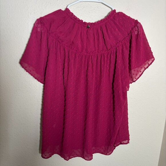 J Crew Blouse Women's Small Short Sleeve Polka Dot Lined Beery Pink Sheer Top - Picture 4 of 7